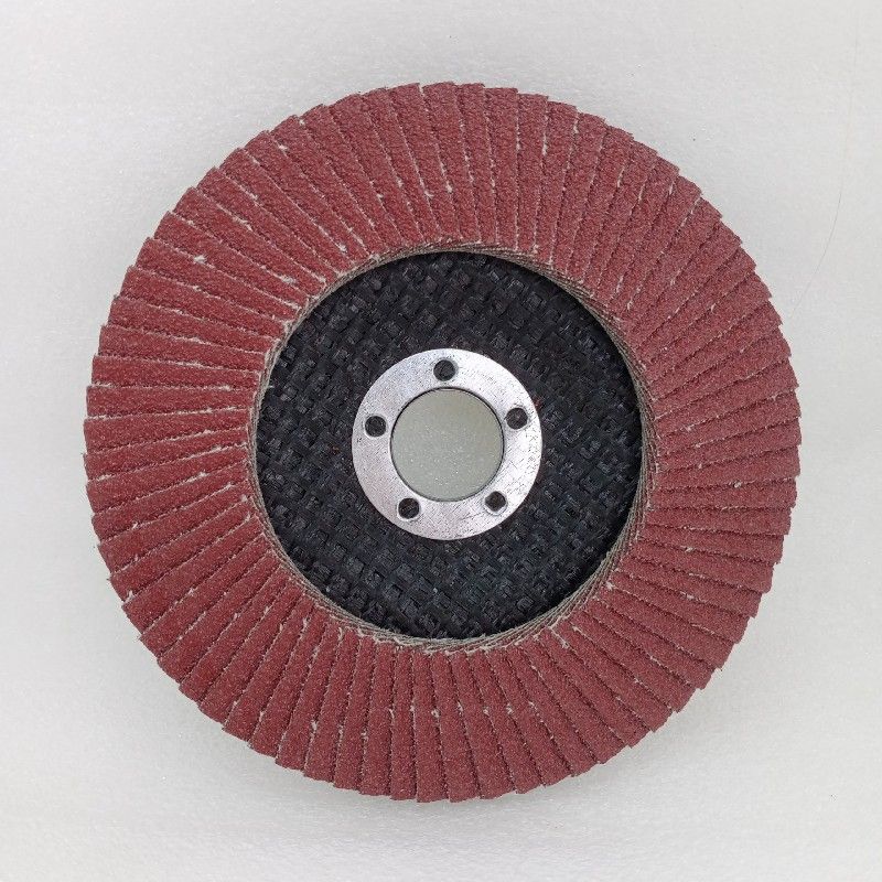 Nhám Xếp Hải Dương A100 Phi 100 ( Đá Ráp Xếp) - B2bmart